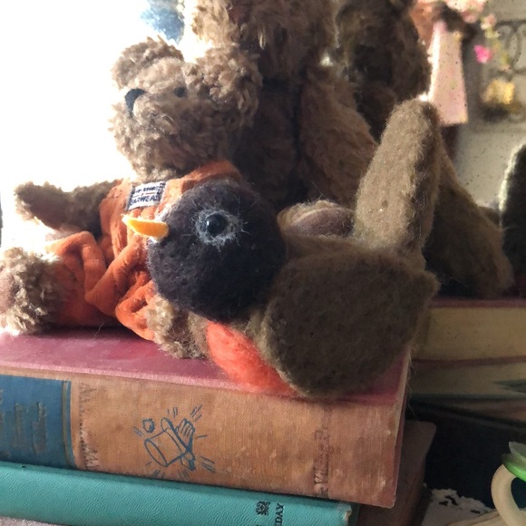 Needle Felted American Robin Bird - Picture 10 of 15